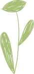 Moss Hall Playcentre Simple green line drawing of a plant.